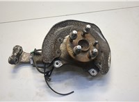  Ступица (кулак, цапфа) Lexus LS460 2006-2017 20547001 #1