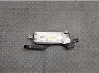 17217597890, 7597890 Теплообменник BMW 7 F01 2008-2015 20548907 #1