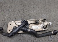 17217597890, 7597890 Теплообменник BMW 7 F01 2008-2015 20548907 #4