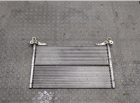 7560965 Радиатор масляный BMW 5 E60 2003-2010 20549035 #1