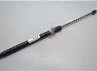 565827550A Амортизатор крышки багажника Skoda Kodiaq 2016-2025 20549157 #1