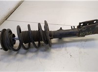 FB5318K001, FB5Z18124W Амортизатор подвески Ford Explorer 2015-2019 20549196 #1