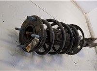 FB5318K001, FB5Z18124W Амортизатор подвески Ford Explorer 2015-2019 20549196 #2