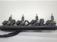  Форсунка топливная Citroen DS3 2009-2016 20549227 #1
