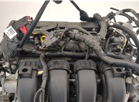  Двигатель (ДВС) Ford Focus 3 2011-2015 20549289 #15