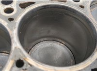  Блок цилиндров (Шорт блок) Audi A4 (B6) 2000-2006 20549307 #8