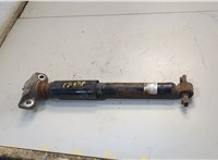 HG9Z18125AE Амортизатор подвески Ford Fusion 2017-2020 USA 20549344 #3