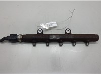1717578, BK2Q9D280AB Рампа (рейка) топливная Ford Transit (Tourneo) Custom 2012-2025 20549479 #1