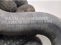 A2045000749, A2128350164, A2105010615 Бачок расширительный Mercedes E W212 2009-2016 20549804 #6