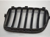 51117210726 Решетка радиатора BMW X3 F25 2010-2017 20549848 #2