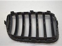 51117210725 Решетка радиатора BMW X3 F25 2010-2017 20549849 #2