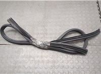  Уплотнитель Honda Odyssey 2004-2008 20549972 #1