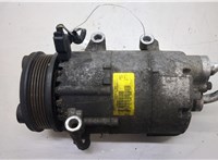  Компрессор кондиционера Ford Galaxy 2006-2010 20550014 #1