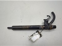 A6460700987 Форсунка топливная Mercedes C W204 2006-2015 20550403 #1