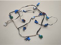  Электропроводка Lexus LS460 2006-2017 20550505 #1