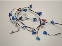  Электропроводка Lexus LS460 2006-2017 20550505 #2