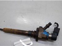  Форсунка топливная Ford Kuga 2008-2012 20550572 #1