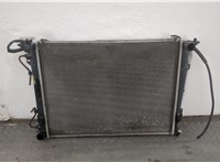253100A180 Радиатор охлаждения двигателя Hyundai Sonata NF 2005-2010 20550545 #1