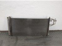  Радиатор кондиционера Hyundai Sonata NF 2005-2010 20550814 #1