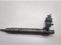 LR001325 Форсунка топливная Land Rover Freelander 2 2006-2014 20551187 #1