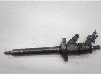 9M5Q9F593AA, 1633633 Форсунка топливная Ford Focus 2 2008-2011 20551494 #1