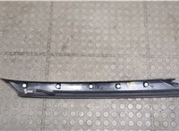 768366RA1A Молдинг стекла (лобовое) Nissan Rogue 2020-2023 20551851 #3