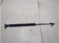 6895049025 Амортизатор крышки багажника Toyota Highlander 1 2001-2007 20552159 #1