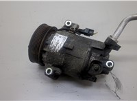  Компрессор кондиционера Nissan X-Trail (T31) 2007-2015 20552238 #1