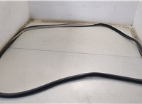 808311LA0A Уплотнитель Infiniti QX56 2010-2013 20552598 #1