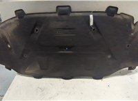 8P0863825L Обшивка капота Audi A3 (8P) 2003-2013 20552911 #1