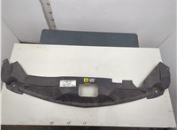  Накладка замка капота Chrysler Pacifica 2003-2008 20552963 #1
