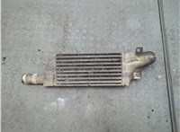  Радиатор интеркулера Opel Combo 2001-2011 20553059 #1
