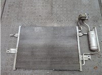  Радиатор кондиционера Opel Meriva 2003-2010 20553119 #1