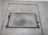  Радиатор охлаждения двигателя Ford C-Max 2002-2010 20553225 #1