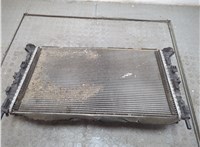  Радиатор охлаждения двигателя Ford C-Max 2002-2010 20553225 #2
