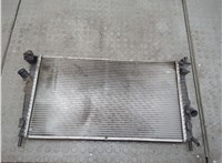  Радиатор охлаждения двигателя Mazda 3 (BK) 2003-2009 20553262 #1