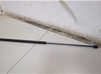  Амортизатор крышки багажника Ford Explorer 2006-2010 20553265 #1