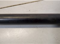  Амортизатор крышки багажника Ford Explorer 2006-2010 20553265 #3
