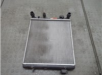  Радиатор охлаждения двигателя Volkswagen Golf 4 1997-2005 20553277 #1