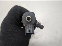  Форсунка топливная Citroen C4 2010-2020 20553291 #3