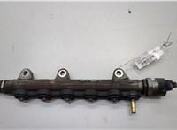 8200842432 Рампа (рейка) топливная Nissan X-Trail (T31) 2007-2015 20553313 #1