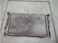  Радиатор охлаждения двигателя Ford C-Max 2002-2010 20553314 #1