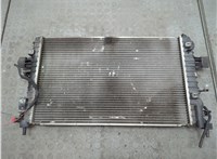  Радиатор охлаждения двигателя Opel Astra H 2004-2010 20553338 #2
