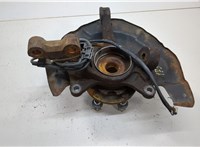 4350228100, 4321128120, 4778148020 Ступица (кулак, цапфа) Toyota Highlander 1 2001-2007 20551940 #1