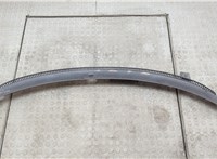 3B1819415C Жабо под дворники (дождевик) Volkswagen Passat 5 1996-2000 20553762 #1