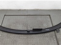 3B1819415C Жабо под дворники (дождевик) Volkswagen Passat 5 1996-2000 20553762 #2