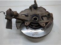  Ступица (кулак, цапфа) Hyundai Terracan 2001-2007 20554054 #1