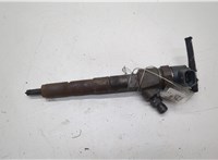  Форсунка топливная Opel Insignia 2008-2017 20554139 #1