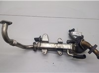  Клапан рециркуляции газов (EGR) SsangYong Rodius 2004-2013 20554307 #1