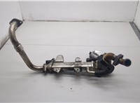  Клапан рециркуляции газов (EGR) SsangYong Rodius 2004-2013 20554307 #2